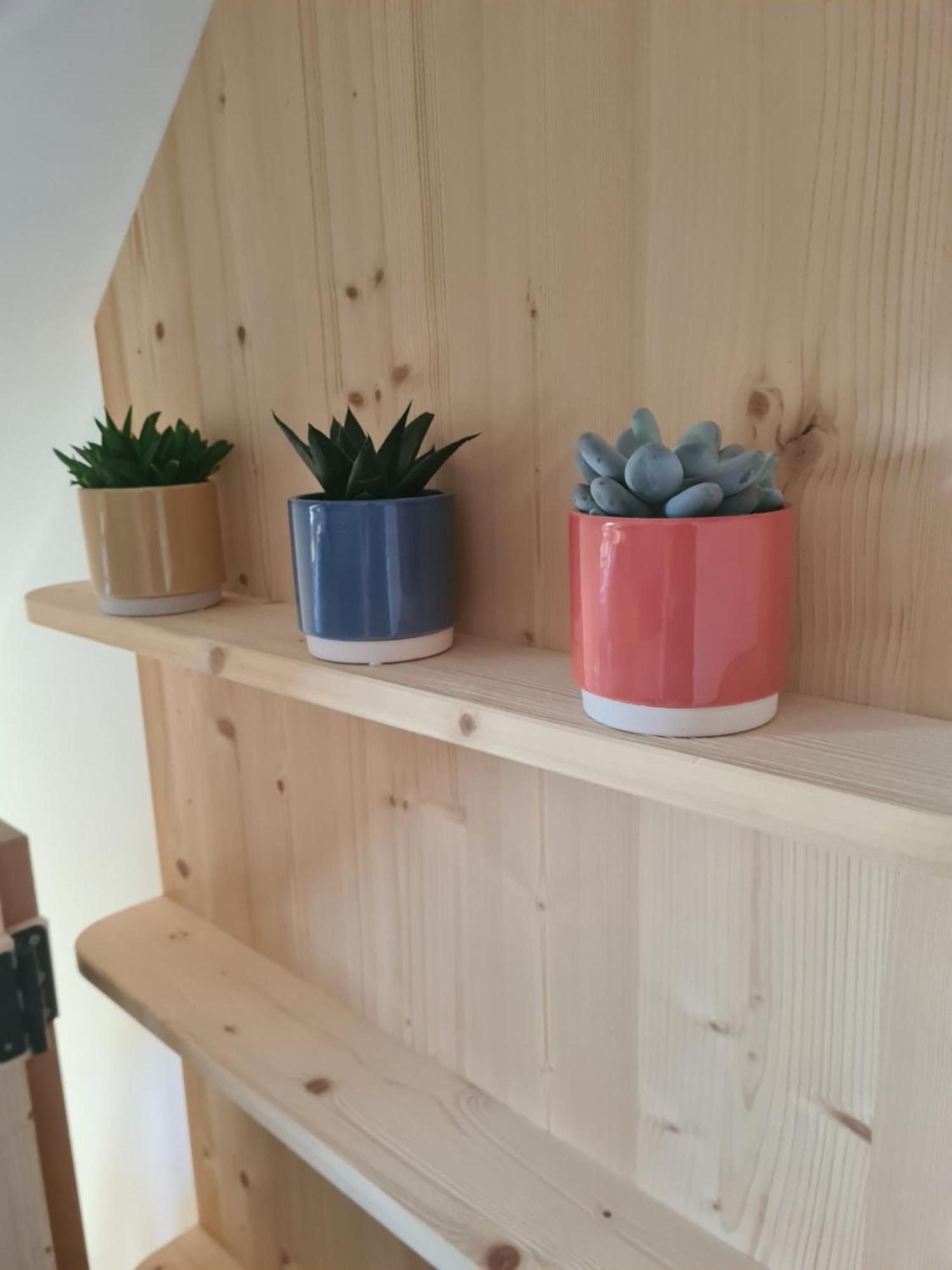 Eco Boutique Hotel Ams Beagle Bled Buitenkant foto