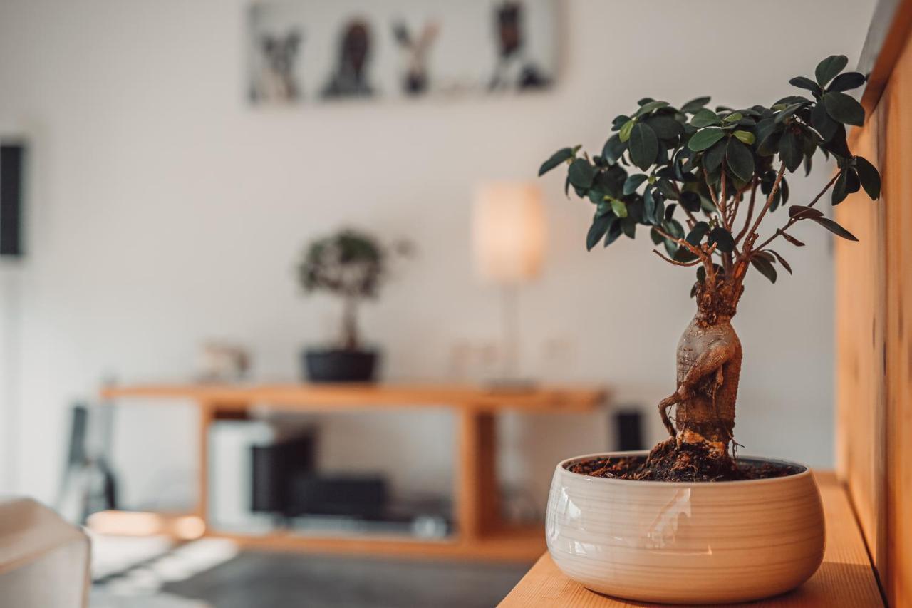 Eco Boutique Hotel Ams Beagle Bled Buitenkant foto